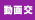 動画交換